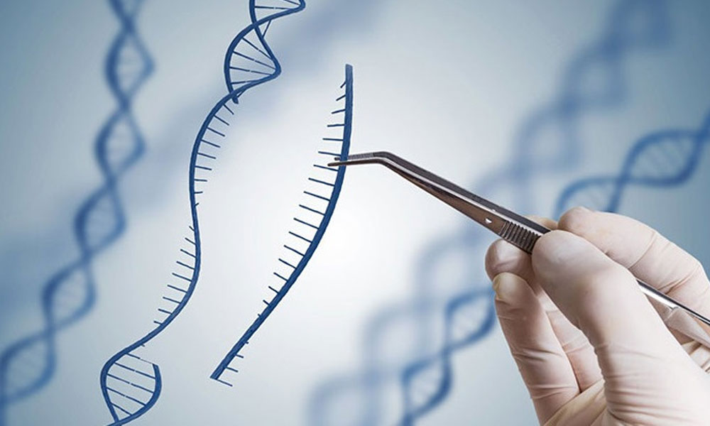 ژن درمانی از راه دور سرطان را می‌کشد